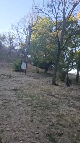 The video opens with a view of a dry, grassy hillside with scattered trees and bushes. In the foreground, the ground is mostly bare earth and dry grass. Two information signs are visible on the left and right sides of the frame, mounted on wooden posts. One sign on the left appears to be near a set of stairs leading up the hill. A few people are walking on the path in the middle ground, heading towards the stairs. The sky is clear and blue. As the video progresses, the camera pans to the right, revealing more trees, some bare and skeletal, others with green leaves. The terrain continues to be a slope covered in dry vegetation. More people are seen walking in the distance, and a picnic table is partially visible under the trees. The camera continues to pan and tilt upwards, showing more of the trees and the clear blue sky. The overall impression is of an outdoor park or natural area, likely experiencing dry conditions.