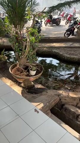 A time-lapse video shows a view of a parking lot filled with motorcycles. In the foreground, there is a bonsai tree in a pot and a small pond. The sun is shining and casting shadows. The trees and foliage appear to be moving as if it is windy.