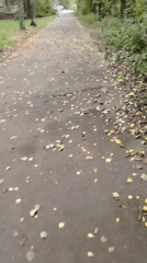 Autumn park stroll and grocery stop in Yaroslavl