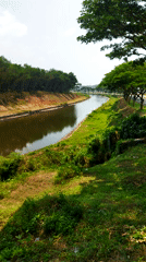 Canal, trees, and parkland along a Semarang waterway