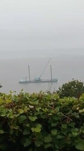 Industrial vessels move through a hazy waterway on an overcast day.