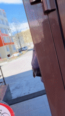 Woman takes selfie at reflective building in Kamchatka