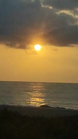 The video shows a view of the ocean during sunrise or sunset. The sun is partially obscured by clouds, casting a warm, golden light across the sky and the water. The ocean surface is calm with gentle waves, and a reflection of the sun shimmers on the water. In the foreground, the dark silhouette of vegetation lines the beach.