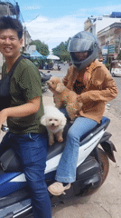 Morning scenes around Kampot's riverside streets and Durian Roundabout