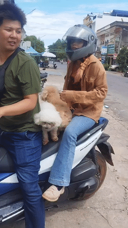 Morning scenes around Kampot's riverside streets and Durian Roundabout