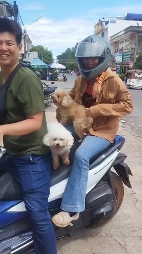 Morning scenes around Kampot's riverside streets and Durian Roundabout