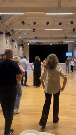 Middle-aged couples enjoy line dancing in Uppsala hall