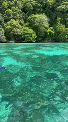 Snorkeling and boat day in Ao Nang's turquoise waters