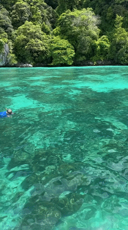 Snorkeling and boat day in Ao Nang's turquoise waters