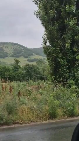 The video captures a view from a vehicle driving through Balgarski Izvor, Bulgaria. The scene is rural, with rolling green hills in the background, indicating a mountainous or hilly terrain. Lush green vegetation, including trees and tall grass with wildflowers, lines the roadside. The weather appears overcast and potentially rainy, as the road surface is wet and reflects the sky.

Several man-made structures are visible along the route. Initially, there's a blue shipping container with some lettering, and further along, what looks like a house or a small building constructed with brick. Towards the end of the clip, a more prominent building appears, featuring a tiled roof and what seems to be a commercial establishment. Signs on this building indicate "ЗАСТРАХОВКИ" (Insurance) and "РЕСТОРАНТ" (Restaurant), with additional text that includes "TIR PARKING" and "КЪЩАТА БОРА". These signs suggest that this is a roadside stop or a small commercial area catering to travelers, possibly truckers given the "TIR PARKING" sign. There are also glimpses of vehicles, including a white van and a dark car.

The overall impression is of a scenic but somewhat utilitarian rural landscape, likely captured during the daytime under cloudy skies. The wet road and overcast sky create a muted, perhaps slightly somber, atmosphere.