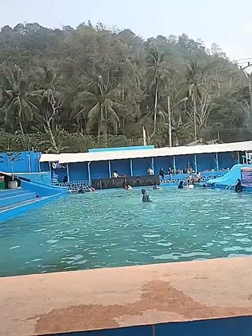 This is a video of a crowded public swimming pool. The pool is large and rectangular with bright blue tiles and clear blue water. There are many people swimming and relaxing in the pool. Some people are in the shallow end, while others are in the deeper end. There are also several children playing in the pool. In the background, there is a building with a blue facade and a white roof. There are also many palm trees and other vegetation, as well as a hill in the background. The overall atmosphere is one of fun and relaxation.