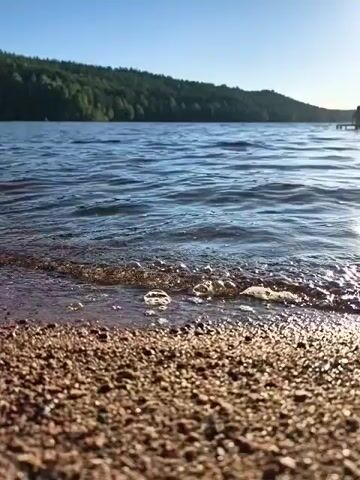 The video opens with a close-up shot of a pebbly shore meeting the gentle waves of a lake. The water is a deep blue, reflecting the clear sky above. In the distance, a lush green forest blankets a rolling hillside. The sun is shining brightly, casting a warm glow on the scene and suggesting it is daytime, likely late afternoon given the long shadows and warm light. There are no people or man-made objects immediately visible in the foreground, though a faint structure, possibly a pier or small building, can be seen on the far right edge of the frame. The overall impression is one of peaceful natural beauty. The sound of lapping waves and distant birdsong creates a serene atmosphere. The video focuses on the natural elements, emphasizing the tranquility of the lakeside setting. The footage is shot at a low angle, giving prominence to the textured pebbles and the incoming ripples of water. The scene evokes a sense of calm and relaxation.
