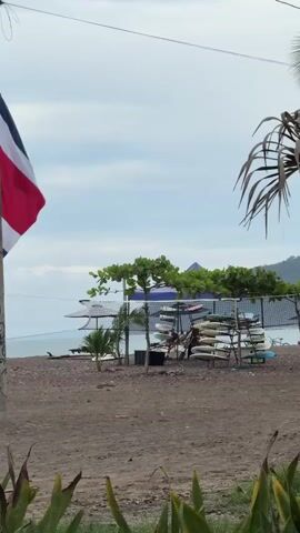The video shows a beach scene with a flag pole flying a white, blue, and red flag on the left side. A rack of surfboards is visible in the background, along with some trees and beach umbrellas. Palm fronds hang in the foreground on the right side of the screen. The sky is cloudy. There are a few people in the background near the surfboards. The ground is covered in sand and small pebbles. The water and horizon are visible in the distance.