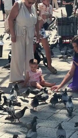 A group of people are gathered in an outdoor paved area, likely a square or plaza. A baby wearing a pink onesie with "Barbie" written on it is sitting on the ground, surrounded by numerous pigeons. An adult woman in a white striped outfit stands to the left of the baby, looking down. Another woman in a floral dress stands behind the baby. A third woman in a purple dress is interacting with the pigeons on the right side of the frame. Several other people and pigeons are visible in the background, along with market stalls and buildings, suggesting a busy public space. The sun is shining, casting shadows on the ground.