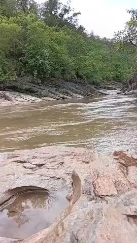 A video shows a flowing river with rocky banks and lush green trees on either side. The water is murky brown, and small pools of water are visible in the foreground on the rocky surface. The scene appears to be a natural, outdoor environment.