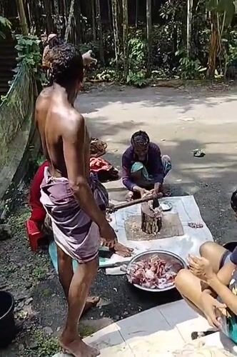 Community meat processing activity observed in Lalmohan, Bangladesh