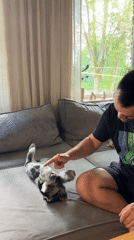 Rainy afternoon indoors with dog and child in Chaikovsky