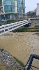 Witness documents Sochi riverfront and seasonal pine foliage changes