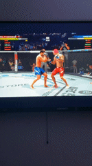 Person plays UFC video game in Arlington morning