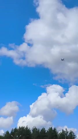 A small airplane flies across a bright blue sky filled with large, fluffy white clouds. The airplane is silhouetted against the sky and is moving from left to right. The bottom of the frame shows a dark green line of trees.