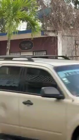 The video shows a tan SUV driving past a street corner in front of a small business. The business has a sign that says "Premium Barber Shop". Two people are standing outside the barber shop. A woman with dark hair and glasses is standing on the corner. She is carrying a blue bag and a clear plastic bag with a pink object in it. The environment appears to be a tropical or subtropical climate with a palm tree visible. A curb is painted yellow.