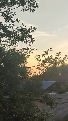 THE VIDEO SHOWS A RURAL OR SEMI-RURAL LANDSCAPE AT SUNSET. IN THE FOREGROUND, LARGE TREES WITH DARK GREEN LEAVES PARTIALLY OBSTRUCT THE VIEW. THROUGH THE FOLIAGE, A CALM SKY WITH SOFT CLOUDS IS VISIBLE, ILLUMINATED BY THE WARM HUES OF THE SETTING SUN, WHICH APPEARS AS A SOFT ORANGE GLOW. IN THE MIDDLE GROUND, THE ROOFS OF SEVERAL HOUSES CAN BE SEEN, SUGGESTING A RESIDENTIAL AREA. THE ROOFS ARE DARK-COLORED, AND ONE ROOF APPEARS TO BE MADE OF METAL OR TILES. THE HOUSES ARE LIKELY WOODEN STRUCTURES, COMMON IN RURAL SETTINGS. THE OVERALL ATMOSPHERE IS PEACEFUL AND SERENE, CAPTURING THE QUIET BEAUTY OF EVENING LIGHT.