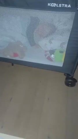 Here is a brief description of the video:
The video shows a toddler sleeping in a travel cot. The cot is black with white mesh sides and the logo "KOOLSTRA" is visible. Inside the cot, the child is lying on a white sheet with a pillow that has a rainbow turtle pattern. The child has fair skin and blond hair, and their face is red. A gray stuffed animal and a pacifier are next to the child. The cot is on a wooden floor.