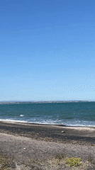 Kitesurfers enjoy sunny conditions at Burgas beach