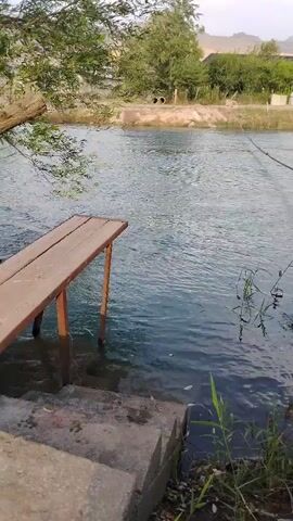This is a video clip captured at Parchasoy, Tajikistan. The scene depicts a river with a small wooden platform extending over the water. A set of concrete stairs leads down to the water's edge. On the right bank of the river, there is vegetation and a few trees. In the background, across the river, there are more trees and some buildings, possibly houses, on a gentle slope. The overall setting appears to be rural.

The main activity shown is a person, likely a child, entering the river from under the wooden platform. They are seen reaching out with their hands as they move into the water. The water is clear and appears to be flowing. The sunlight suggests it is daytime, possibly late afternoon or early evening, given the soft light. The weather seems calm. There are no visible text elements in the video. The mood is relaxed and perhaps playful, given the interaction with the river.