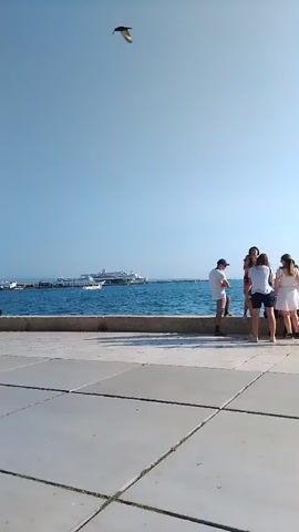 A group of people are gathered by the sea on a sunny day. Some are standing, talking, and looking out at the water, while others are sitting down. A person in the foreground is holding a small dessert in a cup and appears to be eating it. Palm trees are visible in the background, along with buildings and boats docked in the water. The pavement in the foreground is made of large square tiles.