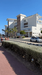 Sunny afternoon stroll through palm-lined Paphos streetscape
