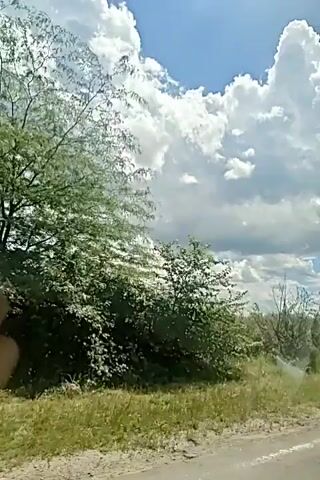 The video is a shaky, first-person perspective recording of an outdoor scene. The camera pans upwards to show a bright blue sky filled with large, puffy white clouds. The sun is visible and bright, casting a glare on the lens. Below the sky, there is a landscape with green vegetation, including trees and bushes. The ground is covered in dry grass and some dirt. The overall impression is of a sunny, possibly windy day in a rural or natural setting.