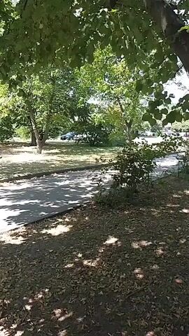 A blue garbage truck with a red refuse body drives past trees and leaves on the ground.