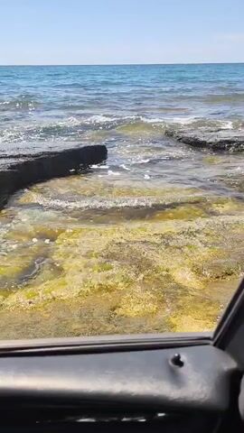 The video shows a view of the ocean from inside a vehicle. The camera is positioned low, looking out of what appears to be a car door or window. In the foreground, the dark interior of the vehicle is visible, including part of a door panel and a side mirror. The middle ground is dominated by shallow, clear water with a rocky seabed covered in green and yellow algae. Large, flat rocks are partially submerged in the water, and waves are gently breaking against them. The background features the blue ocean extending to the horizon, meeting a clear blue sky. The overall scene is bright and sunny, suggesting a daytime shot of a coastal environment. There are no people or explicit actions taking place other than the natural movement of the water.