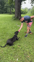 Summer evening in a Wheeling backyard with a dog and friends