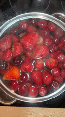Fruit preparation captured in Belgrade kitchen
