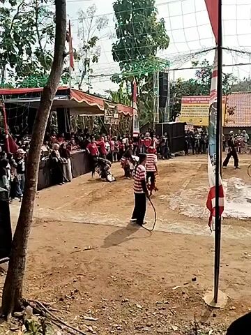 This video shows an outdoor event, likely a cultural performance or competition, taking place on a dirt ground. In the foreground, a person in a striped shirt and dark pants walks across the dirt, holding a circular object, possibly a hoop or a tool for a performance. To their left, a person in a similar striped outfit is bent over, possibly in motion or interacting with someone on the ground. Further back, a crowd of spectators is gathered behind a barrier or raised platform, some wearing red and white striped attire, and others in more casual clothing. A stage or shaded area is set up behind the crowd, with tents and decorations. In the background, trees and buildings are visible, and a net is stretched across the upper portion of the frame, possibly as part of the performance area or to catch objects. Indonesian flags are displayed prominently. The ground is uneven and dusty, with some puddles of water visible. The overall atmosphere suggests a lively gathering or a traditional event.