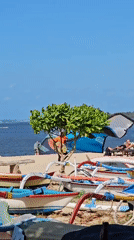 Kiteboarders and fishing boats on a Denpasar beach morning