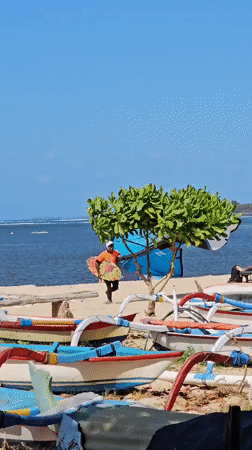 Kiteboarders and fishing boats on a Denpasar beach morning