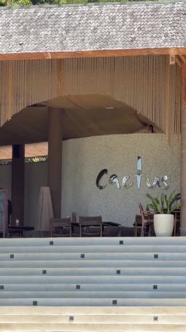 The video shows the exterior of a building with the word "Cactus" in reflective lettering. The building has a thatched roof, columns, and a stairway leading to its entrance. The video then pans out to show a swimming pool, palm trees, and a clear blue sky. There's a wooden table and chair in the foreground, and a foot appears briefly on the table. The scene suggests a tropical resort or restaurant setting.