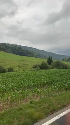 This media file depicts a scenic rural landscape in Petit-Val, Switzerland. The foreground is dominated by a lush, green cornfield, with rows of young corn plants stretching towards the viewer. Beyond the field, rolling green hills covered in lush grass and dotted with trees ascend towards a densely wooded hillside. The sky above is overcast with dramatic, heavy gray clouds, suggesting a moody or potentially rainy day. A narrow white line, likely the edge of a road, is visible in the lower right corner, indicating the perspective is from a moving vehicle.

The scene conveys a sense of tranquility and the beauty of the Swiss countryside. There are no people or discernible objects other than the natural elements of the landscape and the implied road. The time of day is not clearly defined due to the overcast sky, but the overall lighting suggests it could be daytime, perhaps late morning or afternoon. The weather appears to be cloudy and possibly humid. The location is identified as Petit-Val, Switzerland, which is consistent with the rolling hills, forests, and agricultural fields characteristic of the region. There is no visible text within the media file.