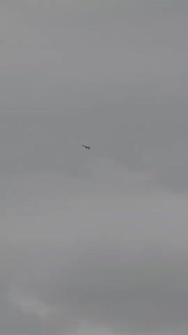 A small, dark aircraft with outstretched wings is visible against a gray, overcast sky. The aircraft appears to be in level flight, with no visible changes in altitude or direction. The surrounding environment is obscured by clouds, offering no additional context or details about the location or time of day.