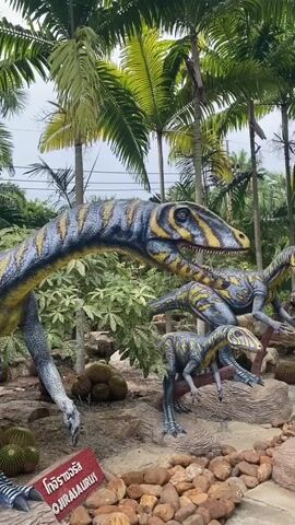 This video showcases a dinosaur-themed park located in Tambon Na Chom Thian, Thailand. The scene features several life-sized dinosaur replicas, including a large predator with striking yellow and grey markings, possibly an Allosaurus or similar theropod, and smaller, bird-like dinosaurs in pursuit. These are set against a backdrop of lush tropical vegetation, dominated by tall palm trees and various cacti, some of which are arranged in a vertical planting system.

The park appears to be an outdoor attraction, with a concrete pathway and rocky terrain visible. The lighting suggests it's daytime, with bright, diffused light filtering through the foliage, hinting at an overcast or hazy sky. The overall atmosphere is one of an educational or recreational exhibit designed to evoke a prehistoric environment.

In the background, another dinosaur replica, an Ankylosaurus, is visible near a building with a metal roof structure, indicating it might be partially enclosed or part of a larger complex. The detailed sculpting and painting of the dinosaur models, along with the carefully arranged plants and rocks, suggest a deliberate effort to create an immersive experience for visitors.

A small sign with Thai script and the English word "OJRASAURUS" is partially visible in the bottom left of the frame, identifying one of the dinosaur models. The focus is on the visual display of the dinosaurs and their environment, with no people visible in the footage. The scene conveys a sense of wonder and perhaps a touch of the dramatic, with the dinosaurs positioned in active poses.