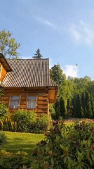 Rural hillside morning: wildflowers, log cabin, and forested valley views