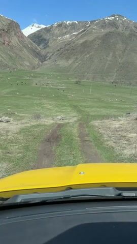 The video shows a first-person view from inside a yellow vehicle driving on a dirt track toward a green field surrounded by mountains. The sky is blue. Cows can be seen grazing in the distance. Some of the mountains have snow on their peaks.