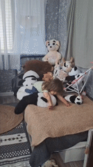 Toddler plays with stuffed pandas on bed in Russia