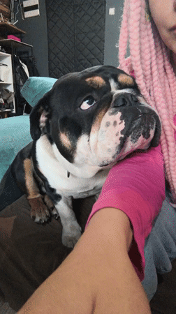 Indoor scenes captured in Noviy including grow operation, playful moments