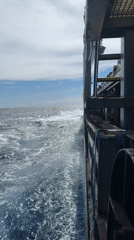 Ship travels through South Atlantic waters