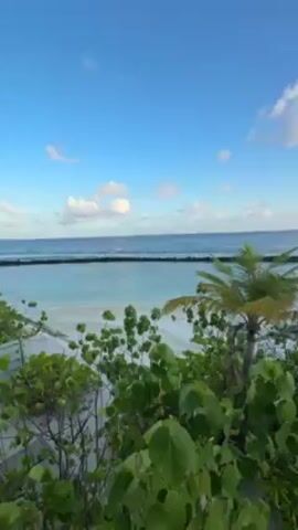 The video showcases a tranquil beach scene in what appears to be a tropical location. The camera pans from a low angle through lush green vegetation, revealing a white sand beach, light blue ocean, and a mostly clear sky dotted with fluffy white clouds. A breakwater extends into the ocean in the distance. As the camera continues to pan, a lone person is briefly visible walking along the shoreline. Palm trees are interspersed along the beach, adding to the tropical ambience. The video concludes with a view framed by a roofline and planter filled with greenery and white flowers, possibly from a balcony or window overlooking the scene. The overall setting suggests a peaceful vacation spot.