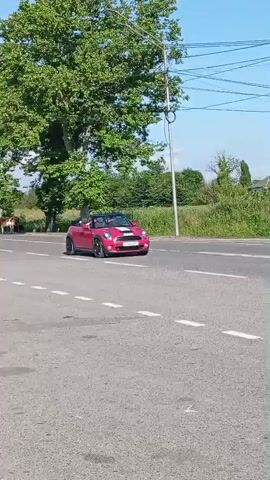A red convertible Mini Cooper is seen driving on a paved road on a sunny day. The car is red with white racing stripes on the hood and trunk. The top is down and a person is visible in the driver's seat. The road appears to be a rural or suburban area, with trees and vegetation lining the sides of the road. There are also power lines visible in the background. Several other vehicles, including a black sedan, a white box truck, and a red tractor-trailer, are also seen on the road. Some cows are visible in the grassy area off the side of the road. The video appears to be shot from a moving vehicle or from the side of the road.
